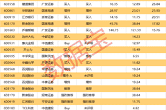 爱丽家居或再申请停牌核查 16股获机构买入型评级