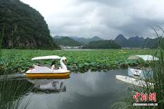 云南普者黑暑期旅游热度高涨 喀斯特山水吸引大量游客纷至沓来