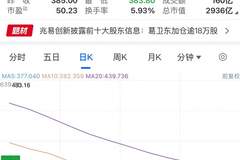 葛卫东加仓逾18万股，兆易创新大涨超8%