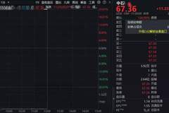 20CM涨停！中际旭创拟入股，股价提前异动！投资者：内幕消息？300684：严格保密