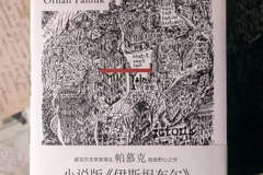 李琬读《远山回忆》｜帕慕克：寻找“眼睛”的风景书写