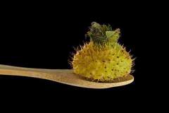 刺梨！它是水果界的维C天花板，云贵高原宝藏水果营养解析