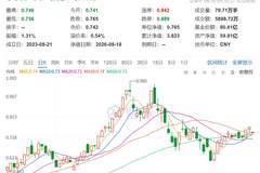 长江存储IPO辅导验收！全球NAND份额已达13%，下一步怎么走？