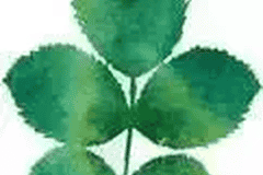 云南必去的25个目的地，每一个都柔软了时光！