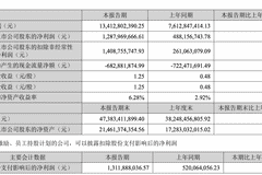 大族激光：上半年净利润12.88亿元，同比增长163.84%