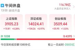 罕见一幕！同一板块，21个“20cm”涨停