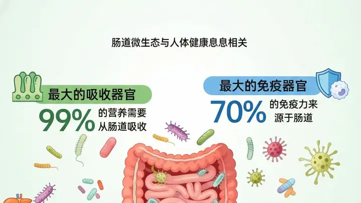 发酵食品养肠有讲究:选对菌种才能事半功倍