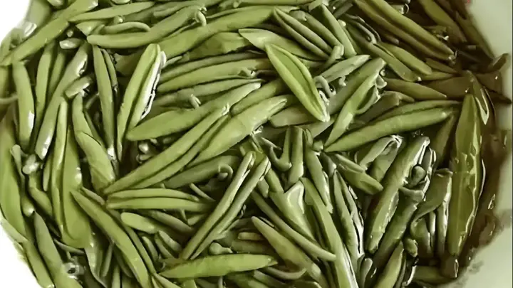 莼菜正当时 清热养胃且能修复胃肠调节菌群