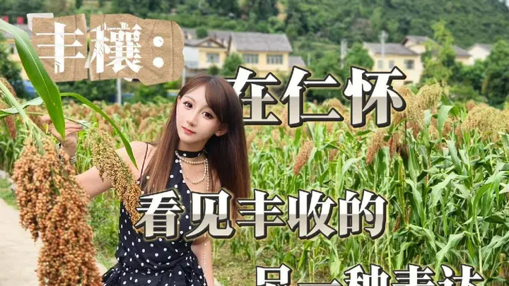 丰穰:在仁怀,看见丰收的另一种表达