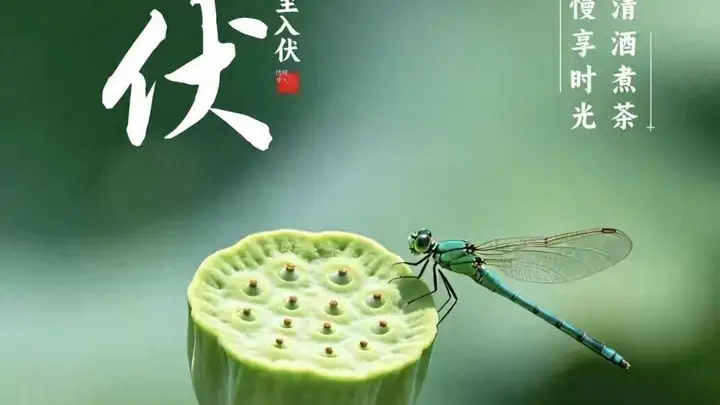 明日入伏,强烈建议中老年:明日早餐吃这4种,精神抖擞一整天!