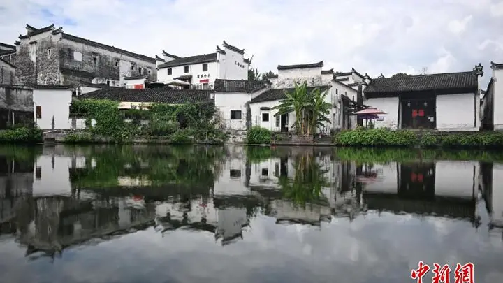 兰溪早茶香,海外华媒品江南烟火话文化出海