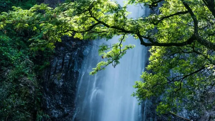 鸡足山玉龙瀑布 雨季盛景