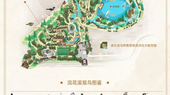 浣花溪公园观鸟地图上线 现场捕捉259种鸟类盛况
