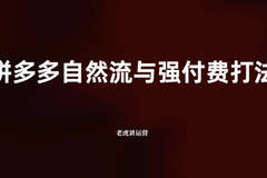 拼多多自然流与强付费打法