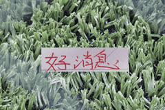 好消息！北京国安10号发文报平安 之前入选5月官方最佳候选人
