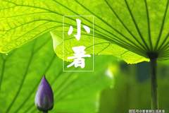 小暑将至,不懂吃就亏了,这5种食材建议常吃,老人说赛过喝参汤!