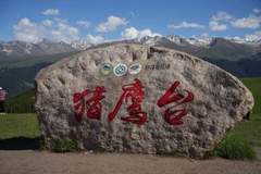 踏访伊犁河谷，在雪山与花海间寻一场四季流转的梦
