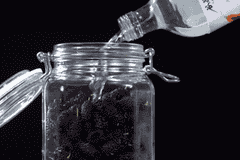 桑葚桑果泡酒用什么酒最好?最全选择指南揭晓