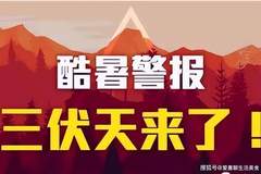 适合中老年人三伏天吃的6道家常菜,少油腻、易消化,清淡美味!