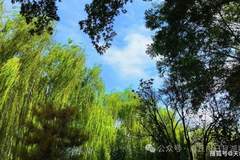 赴一场夏末初秋的商丘日月湖