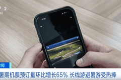 这些机票预订量，增长超100%