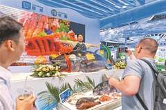 全球近20个国家和地区的优质渔产品在深圳集中展示 千斤蓝鳍金枪鱼游上市民餐桌
