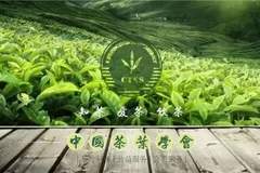 茶科普 | 中国新茶饮香飘海外的“出海密码”