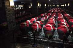 科技赋能绵柔：洋河以酿造技术突破筑牢品质升级基石