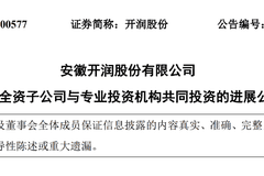 DeepSeek估值,被一家安徽箱包公司给全部暴露了