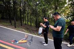 贾汪:大洞山彩虹步道焕新 登山成自然科普趣味之旅