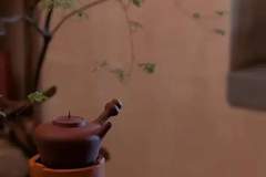 茶凉了可以重煮，走散的人，还能重逢吗？