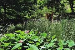 百望山森林公园:市郊夏日清凉胜境