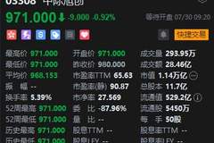 中际旭创港股挂牌首日破发 年内最大IPO上市结果不及预期引多方关注