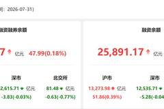 7月31日两融余额增47.99亿元 电子成融资净买入第一大板块 资金风向指向明朗