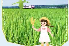 光东村解锁朝鲜族文化新体验 打糕辣白菜长鼓打卡亮点拉满