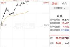 电子布龙头午后涨停 中国巨石封单近40万手领跑板块