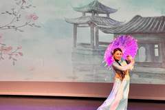 “中华文化大乐园”荷兰海牙开园