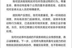 朴朴超市回应骑手虐猫：属实，已辞退