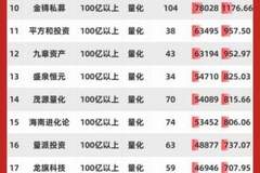 宇树科技IPO引爆打新热潮！62家百亿私募扎堆参与配售，打新红利背后看清两层现实风险|私募透视镜
