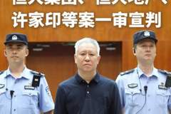 许家印一审被判无期，体态发胖面容憔悴，头发眉毛尽数全白，出狱时都接近90岁
