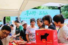 “寻山野·品马山”粤桂协作农文旅展销活动在广州启幕