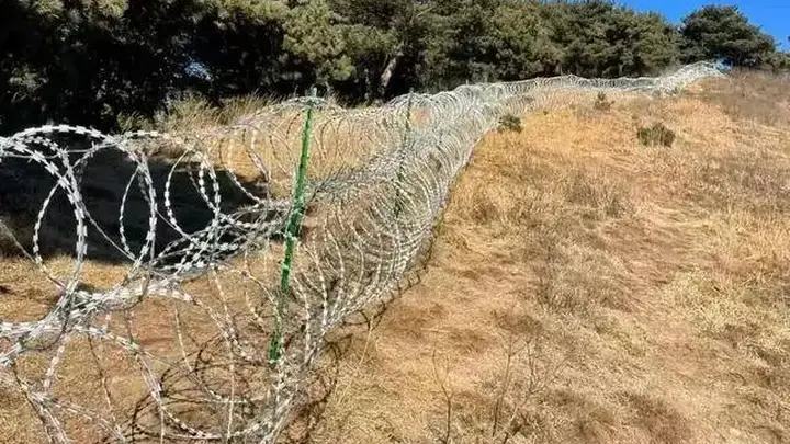 泰山的刀片网,围住的不只是山