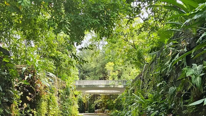 同样的城市,不同的安全感:连续假期里,为什么特色路线游客的体验天差地别?