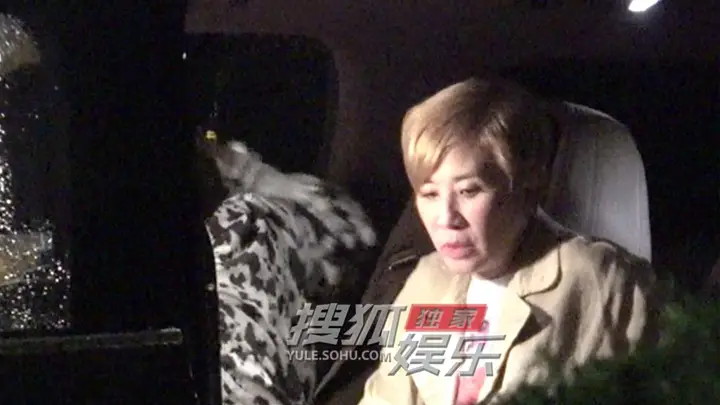 吴君如深夜行程紧凑 神采奕奕返回酒店
