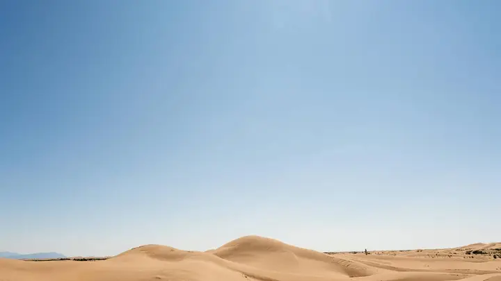 呼和浩特定制美食游亮点满满 诈马宴烤全羊仪式感十足还有地道老味道