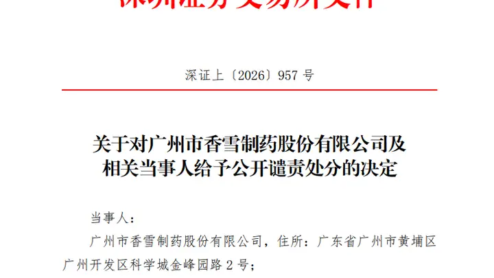 300147及董事长，被深交所公开谴责