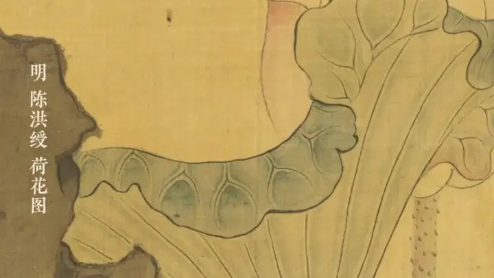 图知道 |《荷花图》：石立清池 荷傲萍浮