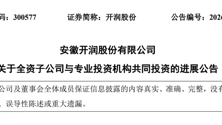 DeepSeek估值,被一家安徽箱包公司给全部暴露了