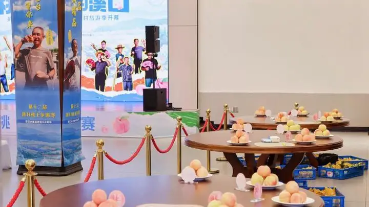 一颗水蜜桃 如何解锁浙江乡村旅游长红流量密码?