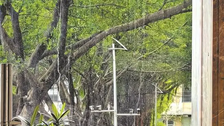 夏日困意浓